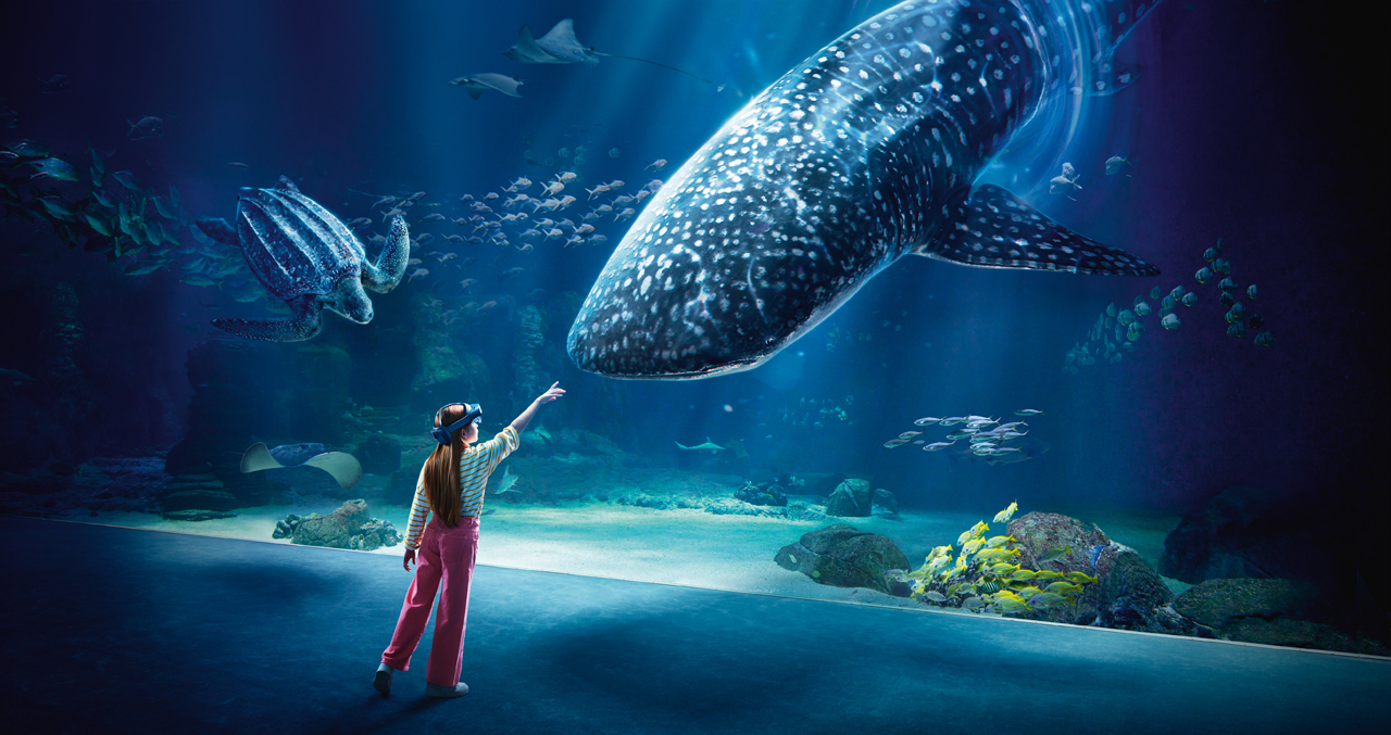 Découvrez la haute mer en réalité augmentée à Nausicaá